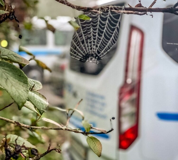 Herbstliche Stimmung